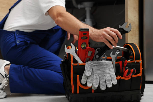 Best Plumbing Inspection Services  in Arapahoe, NE
